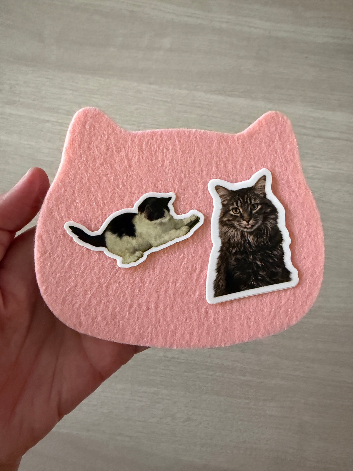 Feline Fine Art Snail Mail Club