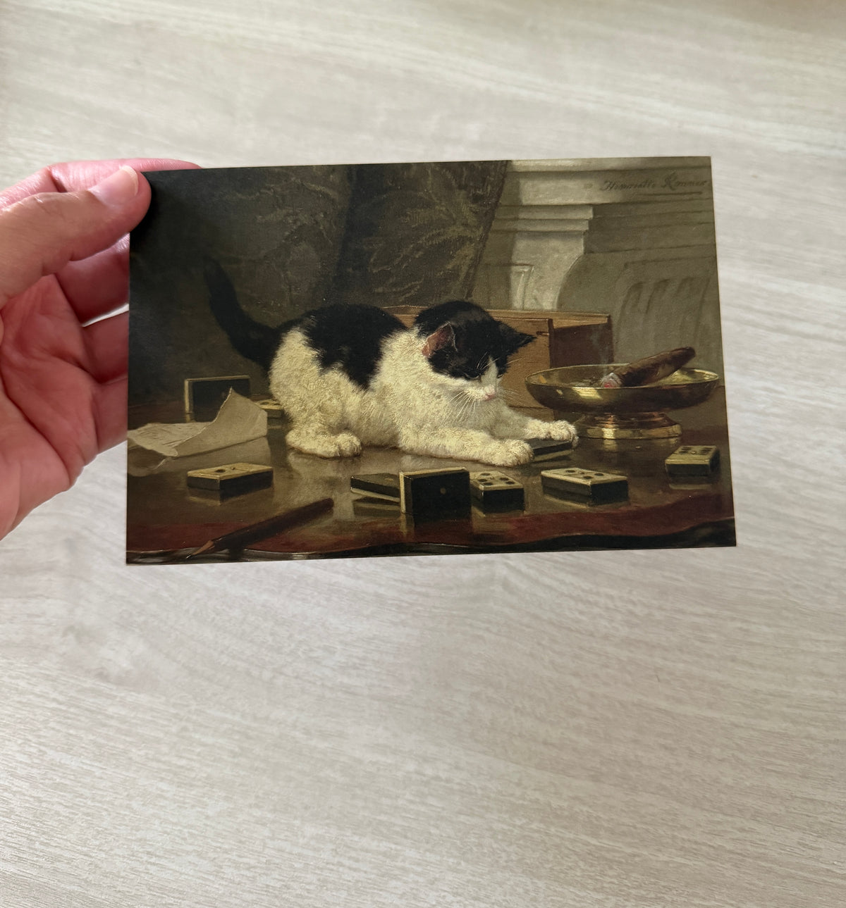 Feline Fine Art Snail Mail Club